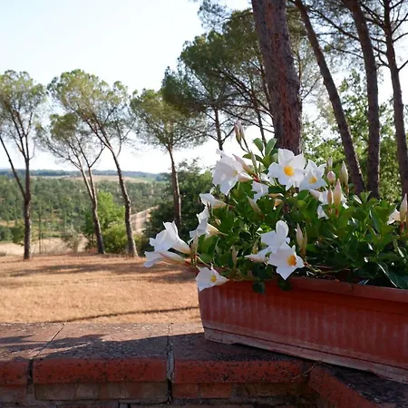 Villa Talciona Holidays *
