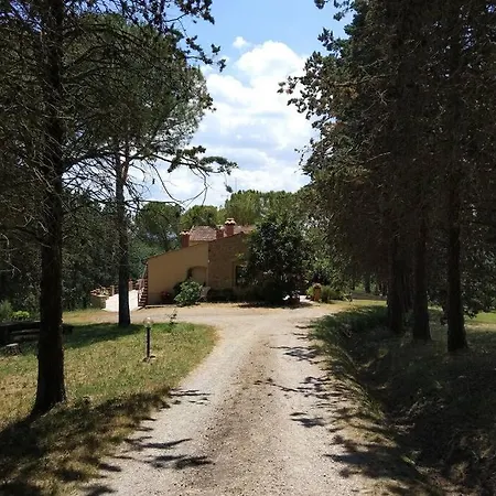 Talciona Holidays * Megognano
